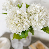 White Hydrangea Stem