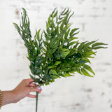 19” Smilax Bush