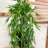 32.5" Bamboo Hanging Bush