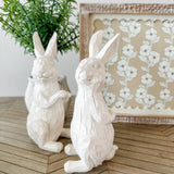 Standing White Rabbit