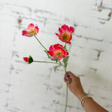 25" Poppy Spray