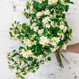 White Flower Bundle