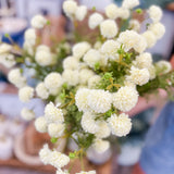 Ivory Chrysanthemum Stem