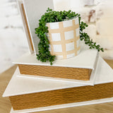 Ceramic Check Planter with Greenery