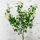 White Flower Bundle