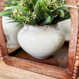 White Flower in Pot
