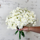 15” Narcissus Bundle