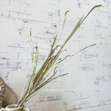 37” Grass Stem