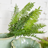 UV Forest Fern Bush