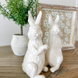 Standing White Rabbit