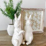 Standing White Rabbit