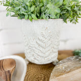 5" Engraved Fern Planter