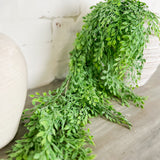 Hanging Sysgium Stem
