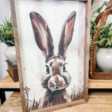 10 x 16" Peeking Brown Rabbit