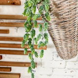 30.5" Hops Hanging Bush