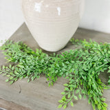 Hanging Sysgium Stem