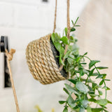 Eucalyptus in Twine Hanging Pot