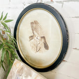 Bird Print