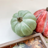 Squatty Pumpkin