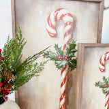 Candy Cane By Petals Prints Designs - 16x24