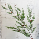 Pine Spray