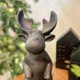 Moose