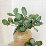 10" Seeded Eucalyptus Bush