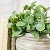 13" Cotinus Leaf Bush