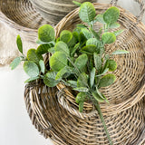 13" Cotinus Leaf Bush