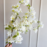 Large Cherry Blossom Bundle