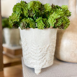 5" Engraved Fern Planter