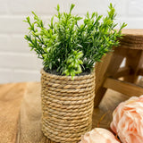 Herb in Basket