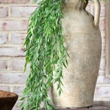 Hanging Plant