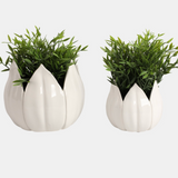 Petal Planter