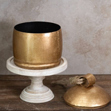 6"Gold Bell Jar