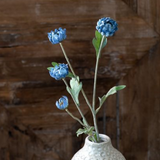 Blue Kalanchoe Stem