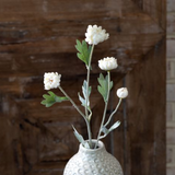 23" White Kalanchoe Stem