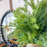 Cedar Spray