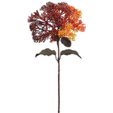 12.5" Skimmia Pick