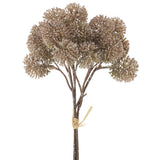 14" Beige Globe Thistle Bundle