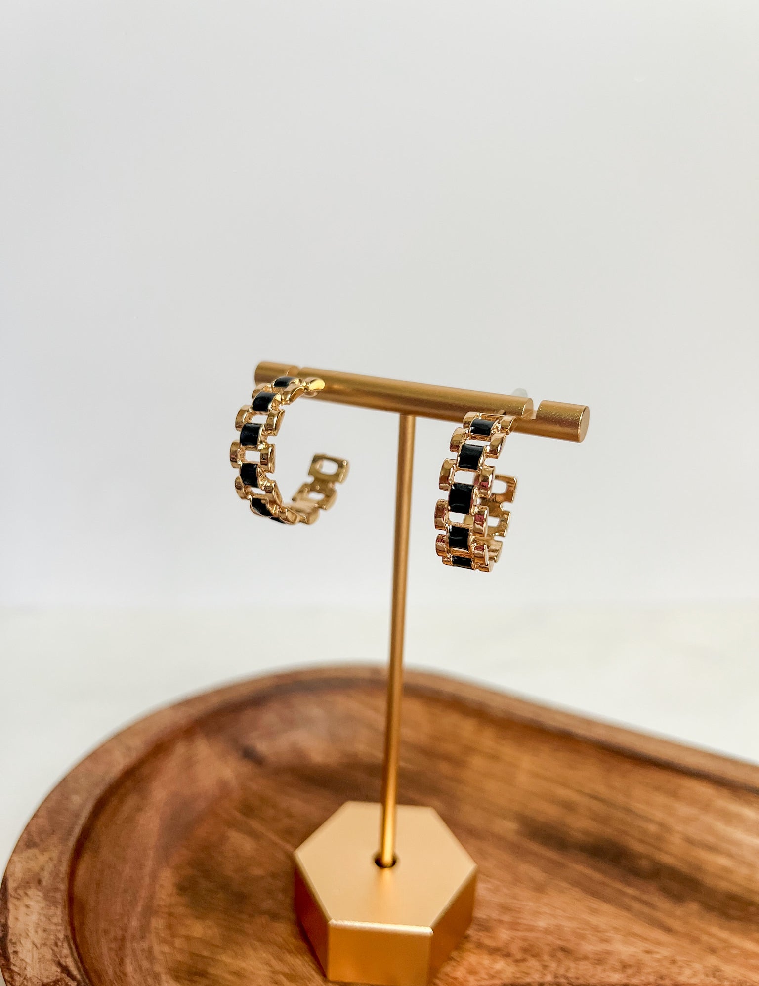 Polished Pair Earrings