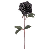 21.5" Black Magic Rose
