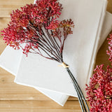 Burgundy Chrysanthemum Bundle