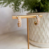 Everyday Shine Earrings