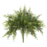 12" Sofe Pe Juniper Bush