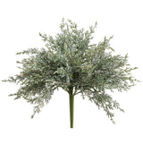 12" Sofe Juniper Bush