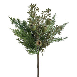 15" Eucalyptus Seed Pine Pick