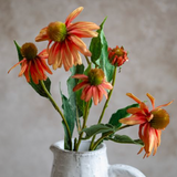 27" Orange Echinacea Bunch