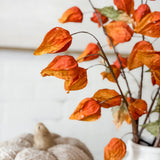 40" Chinese Lantern Lilly Stem