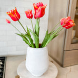 Tulip Bundle